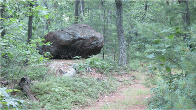 Glacial erratic featured in AHF's blogpost about Massachusetts history.